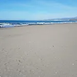 Rico Ricosol